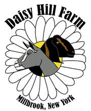 Daisy Hill Farm Dairy Goats